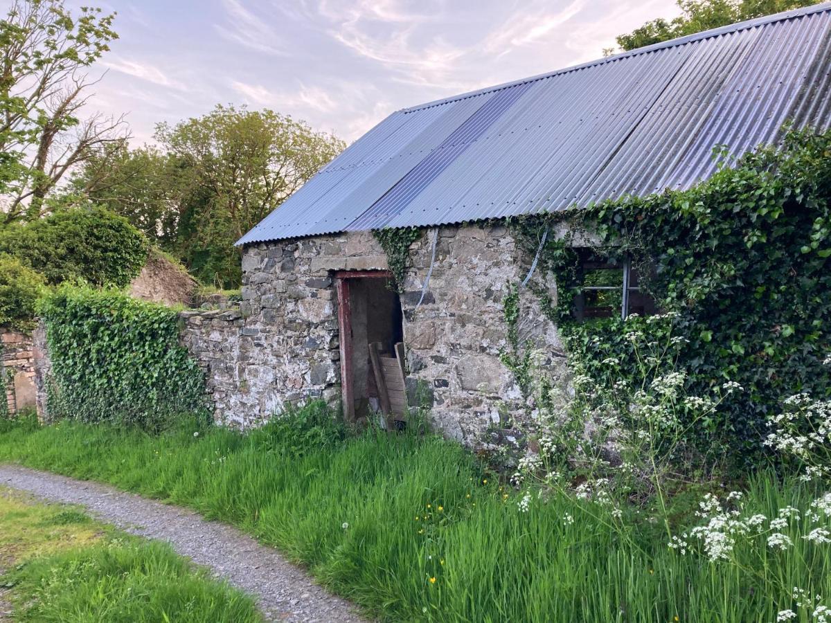 Hillhead Country Retreat Vila Castlewellan Exterior foto