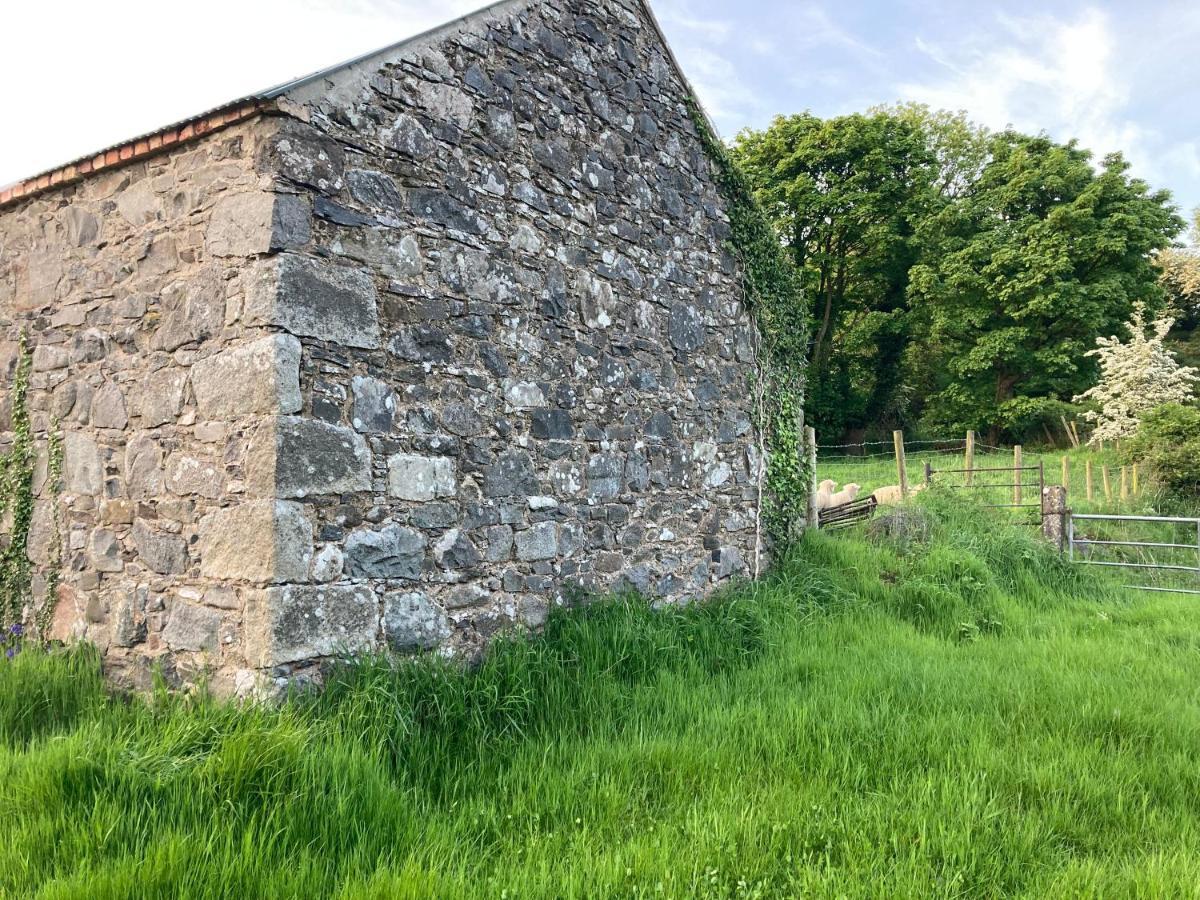 Hillhead Country Retreat Vila Castlewellan Exterior foto